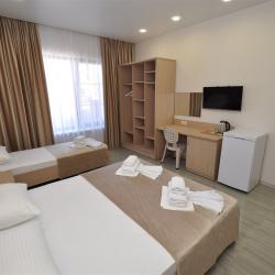 Номер стандарт Плюс без балкона с 1 двуспальной и 1 односпальной кроватью (Корпус Андорра)