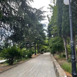 3-комнатные апартаменты люкс