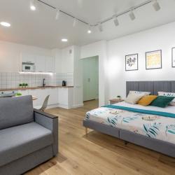 1-комнатные апартаменты студия