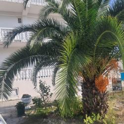 Фото Отель Белая Панама