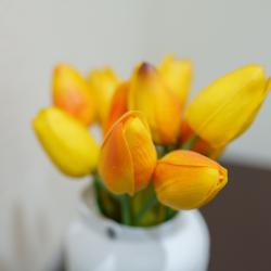 1-комнатные апартаменты улучшенные #1