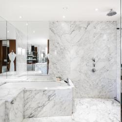 Ararat Park Hotel Moscow (Арарат Парк Хаятт Москва) — d39d437c04bdff92a0861b05c4166b6b