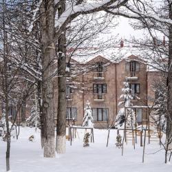 Фото Отель Alpina Resort by Stellar Hotels, Tsaghkadzor (Альпина Резорт от Стеллар Хотелс, )