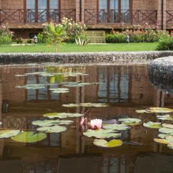 Фото Отель Озеро сновидений