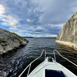 Фото Отель Гостевой комплекс Сосны