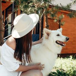 Фото Отель Три Медведя