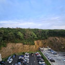 Фото Апартаменты на Зелёном Бульваре, 19