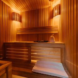 Люкс с сауной