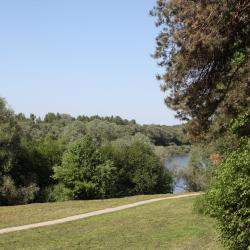 Фото Отель Три Медведя