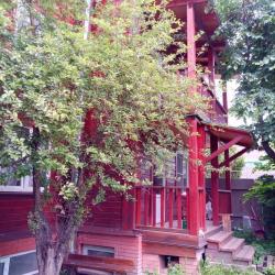 Номер стандарт (мансарда)