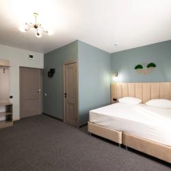 Номер стандарт с 1 двуспальной кроватью