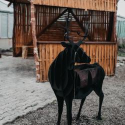 Фото Отель Eko House Kamchatka (Эко хаус Камчатка)