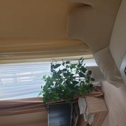 Номер люкс семейный