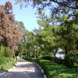 Фото Отель Вилла Мишель