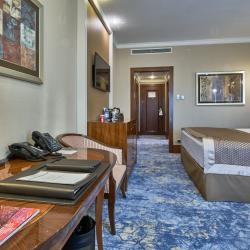 Номер улучшенный премиум с 1 двуспальной кроватью