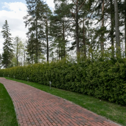 Фото Отель Гармония