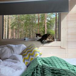 Фото Отель Глэмпинг NewCamp Эссойла (Ньюкэмп Эссойла)