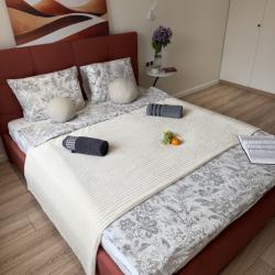 Апартаменты люкс Апартаменты ЛЮКС на Закатной