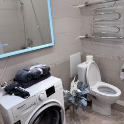 Фото Отель Квартира на Московском проспекте 2А