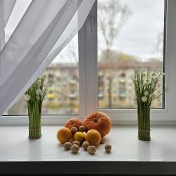 1-комнатные апартаменты улучшенные