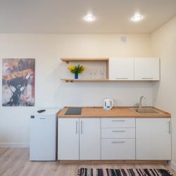Фото Апартаменты Privi House на 9 подлесной 11к2