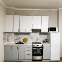 Фото Апартаменты на улице Борисова 42