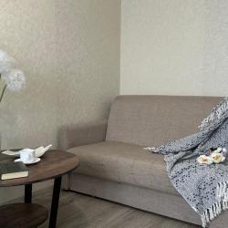 2-комнатные апартаменты улучшенные BeGuest на Заводской 73