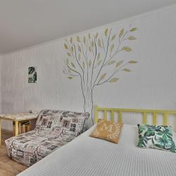 1-комнатные апартаменты студия