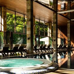 Фото Отель Forrest Terrace Hotel (Форрест Терасса)