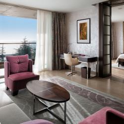 Фото Swissôtel Resort Камелия (Свиссотель Камелия)