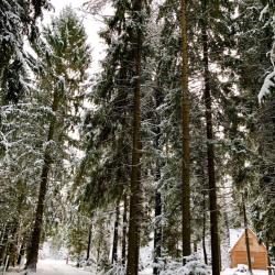 Фото Отель Конни