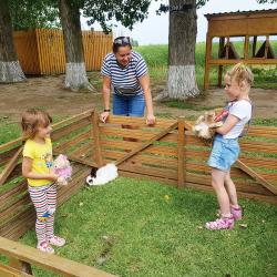 Фото Отель Остров Колочный