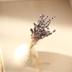 Фото Отель Ochagof (Очагоф)