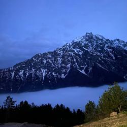 Фото Отель Гостевой дом 1950