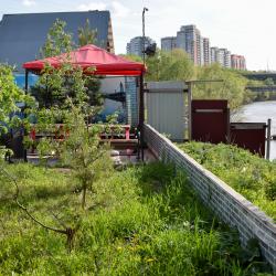 Фото Отель Жар-Птица