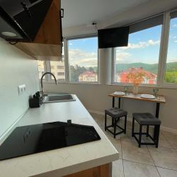 Апартаменты студия гостиничный комплекс Радуга 10И