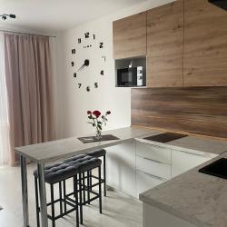 Фото Апартаменты на Суздальском шоссе 18к4