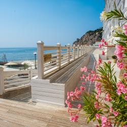 Фото Отель Palmira Palace Resort & SPA (Пальмира Палас Резорт и СПА)