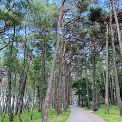 Фото Апартаменты на Комсомольском переулке