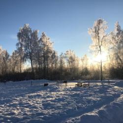 Фото Отель Волжский фермер