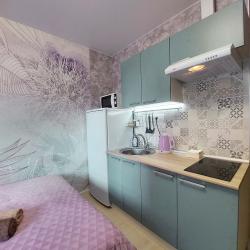 2-комнатные апартаменты улучшенные Московская область, Ленинский городской округ, посёлок Битца, жилой комплекс Южная Битца, Южный бульвар, 4