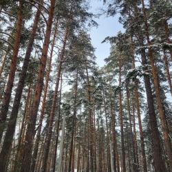 Фото Отель Бapн-xаус на первой береговой линии