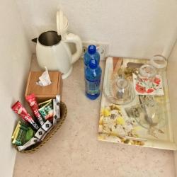 Фото Отель Гомер