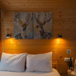 Фото Отель Терруар