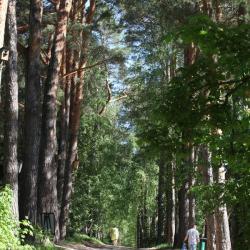 Фото Отель Три Медведя