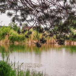 Фото Парк-Отель Спасское