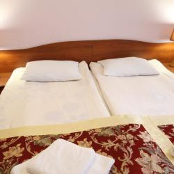 Фото Отель Троя