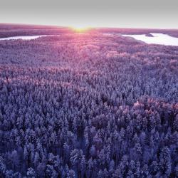 Фото Отель Шишки