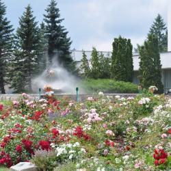 Фото Отель Загорские дали