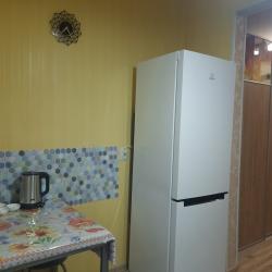 Фото Апартаменты на проспекте Ленина 103